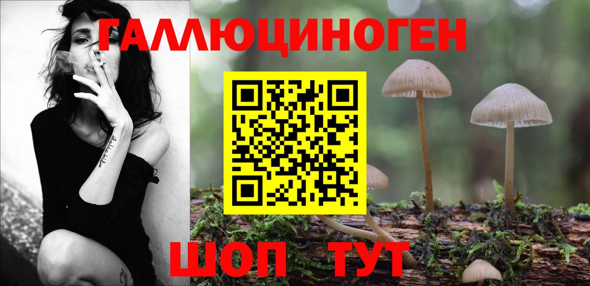 Псилоцибиновые грибы Magic Shrooms Губкин